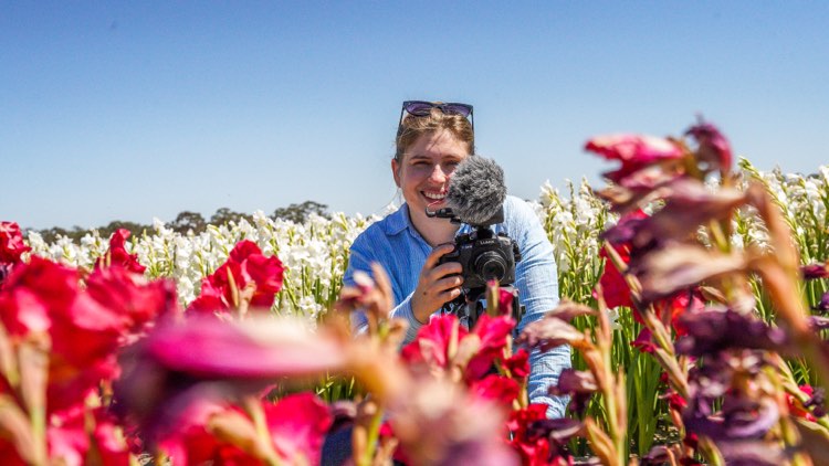 Wide shot of a reporter behind a camera in a field of flowers