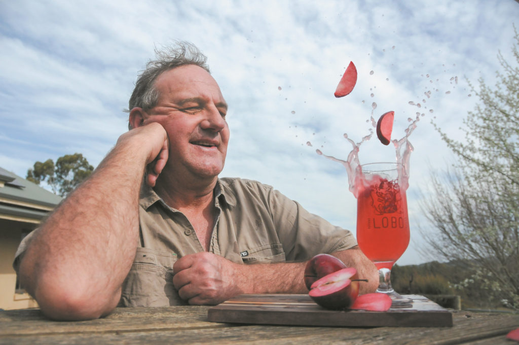 A mid shot of a man looking at apples drop into a glass.